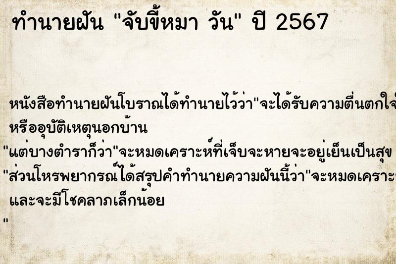 ทำนายฝันจับขี้หมาวัน ทำนายฝันทำนายฝันจับขี้หมาวัน